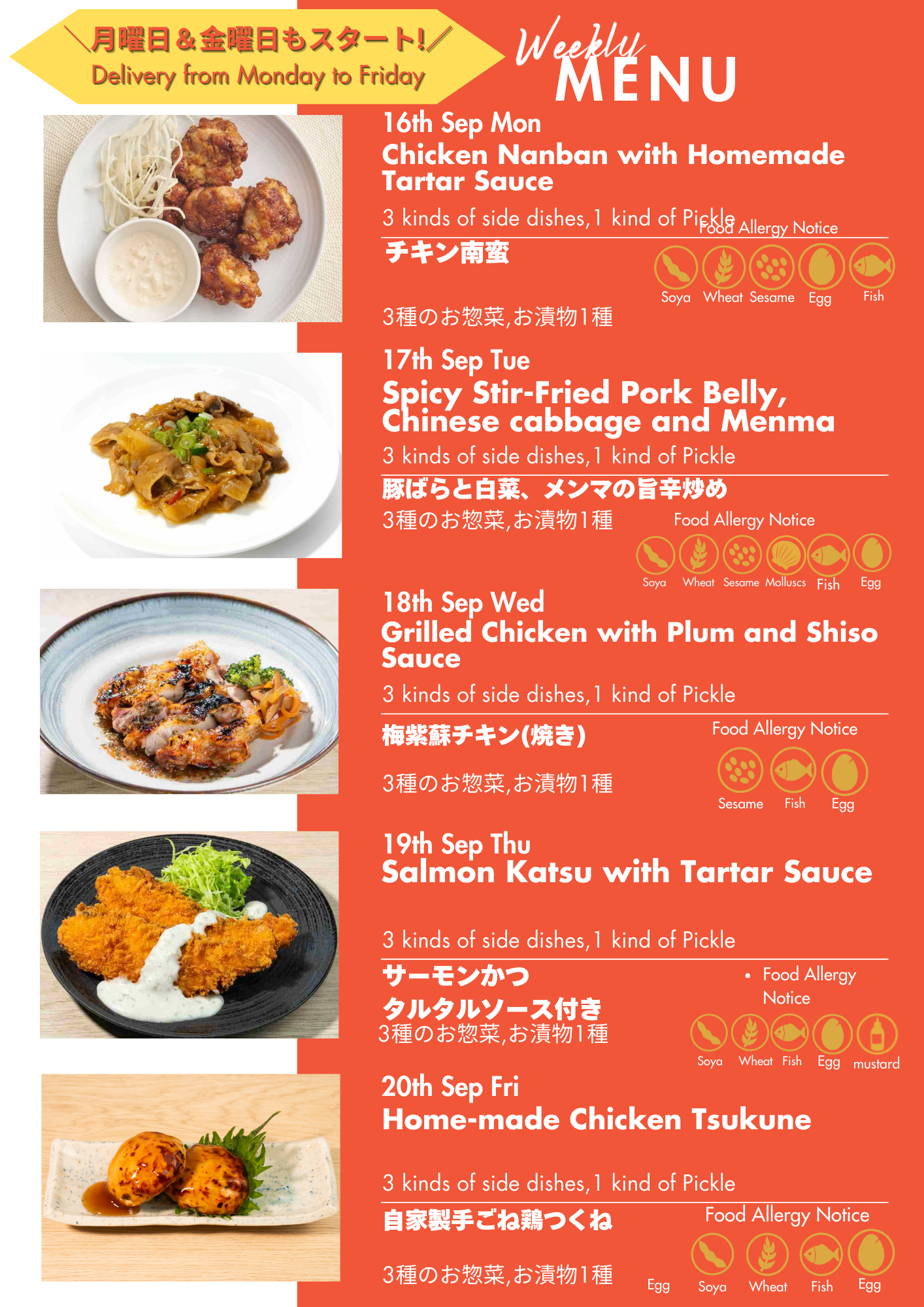 WASO Bento Box