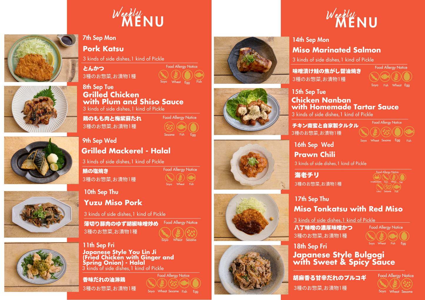 WASO Bento Box